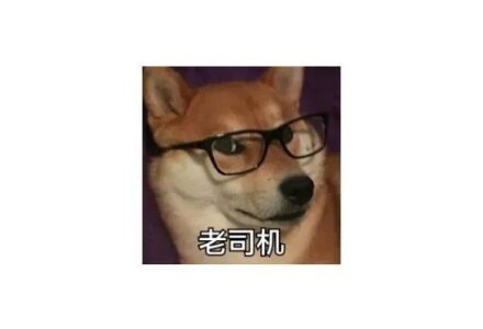 驾考宝典,解锁高级功能!老司机们的春天来了!-电影天堂工具站