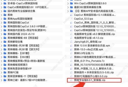 剪映永久VIP打包合集：简易视频剪辑与创作的理想工具-TVBox应用站