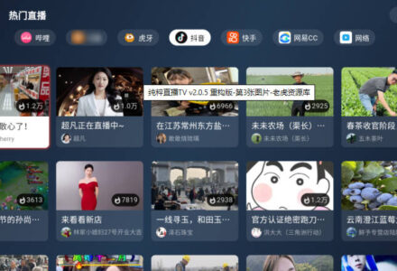 bilitv 全新三方TV版-TVBox应用站